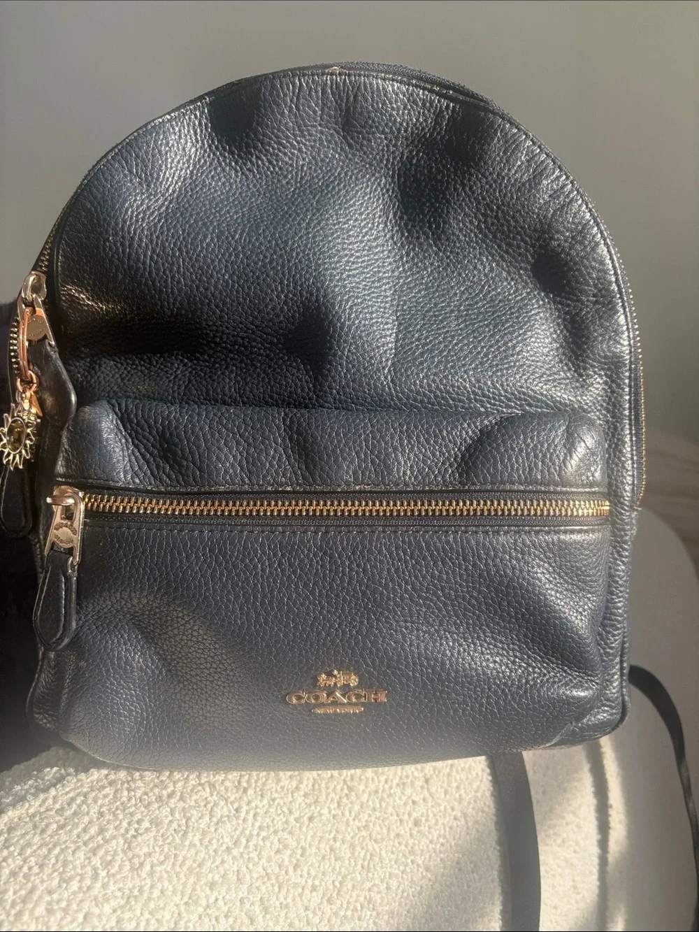 court mini backpack Coach in Rainbow Signature Canvas – Club de Mode Refined pebble leather Inside zip and multifunction pockets Double zip closure fabric lining Handle with 1 1/2 drop Outside zip and open pockets Adjustable shoulder straps 8 (L) x 9 (H) x 3 1/2 (W) The Coach Foundation continues to partner with the Hetrick Mini court backpack in -